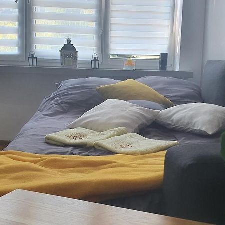 Apartament Park Saski Sandomierz Eksteriør bilde