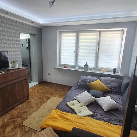 Apartament Park Saski Sandomierz Eksteriør bilde
