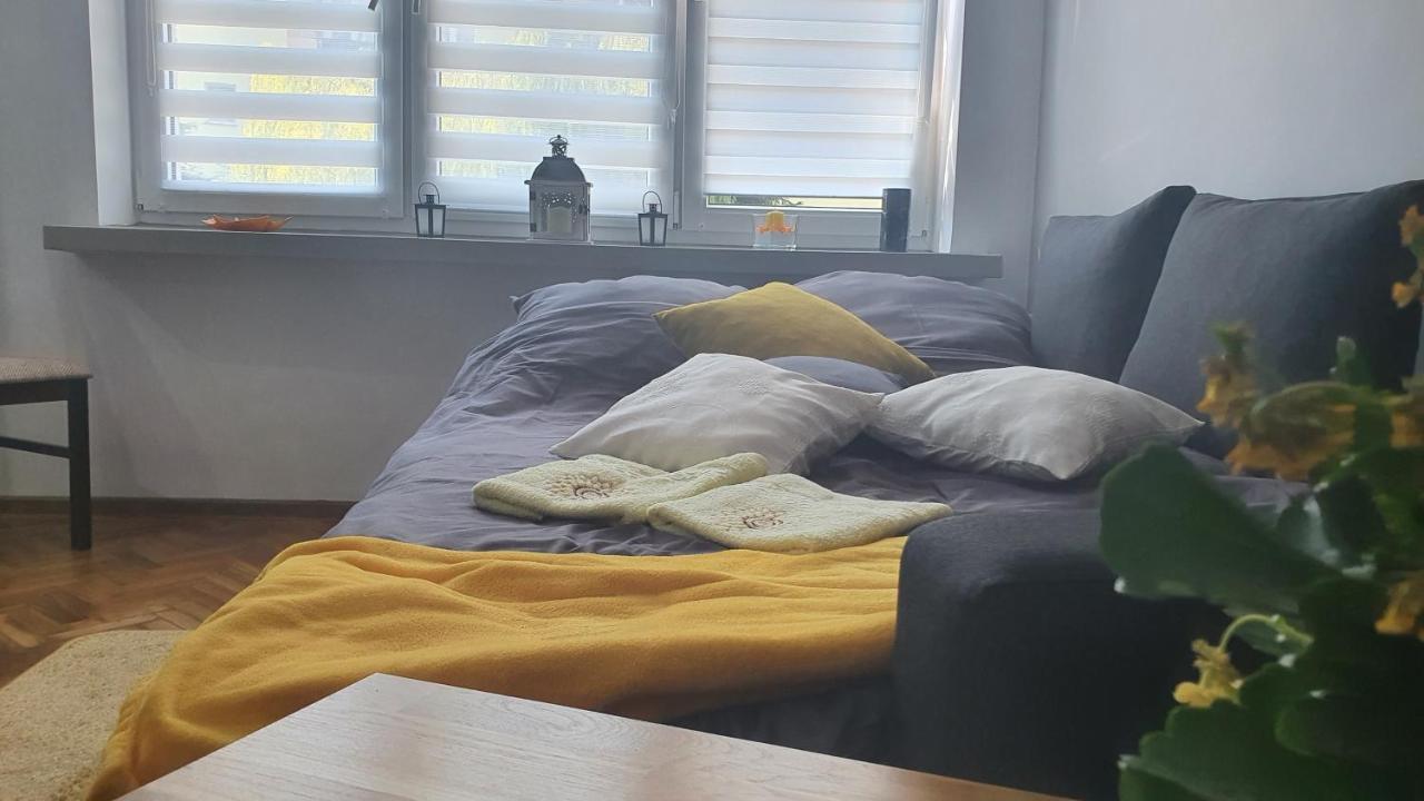 Apartament Park Saski Sandomierz Eksteriør bilde
