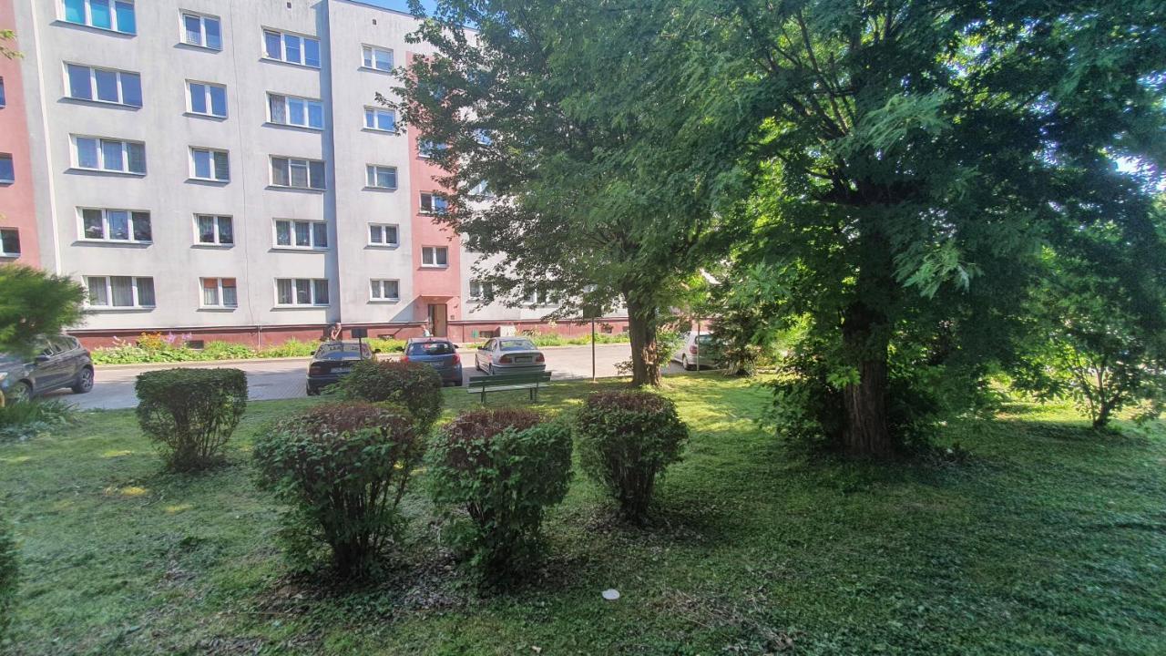Apartament Park Saski Sandomierz Eksteriør bilde
